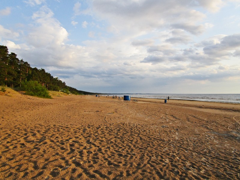 Льготный парковочный билет в Нарва-Йыэсуу. Как и когда приобрести? Льготный парковочный билет в Нарва-Йыэсуу. Как и когда приобрести?