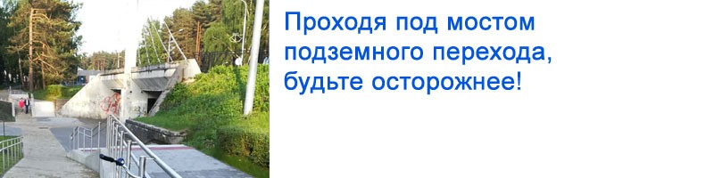 Город в соснах. Почему Висагинас называют местом комфортного проживания
