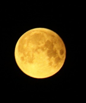 В Эстонии было видно лунное затмение