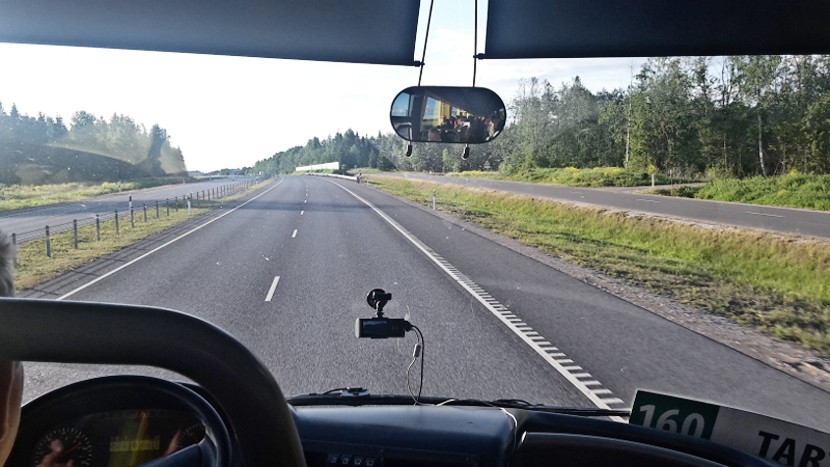 Наступает осенний сезон охоты – как избежать столкновения с диким животным?