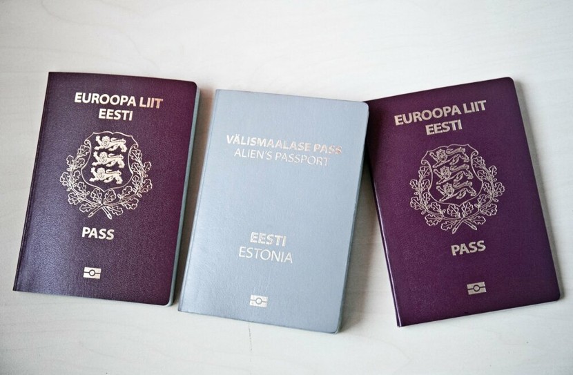 Комиссия Рийгикогу поддержала упрощенный порядок получения гражданства детьми серопаспортников