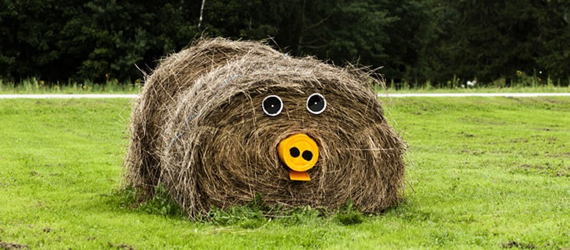 Департамент статистики: прошлый год был рекордным по урожайности