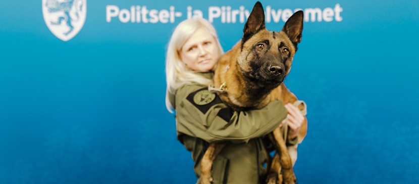 Вот молодец! Служебный пес Шарки задержал 17-летнего парня, нанесшего мужчине тяжелые ранения ножом