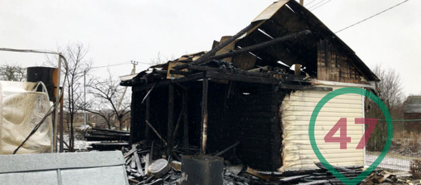 Под Кингисеппом произошла серия пожаров. Дачники принялись патрулировать улицы и готовы вооружаться вилами