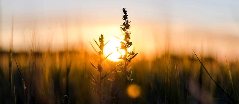Экологи: создание атомной электростанции в Эстонии сопряжено с серьезными рисками. И дело не только в вероятности катастроф и радиоактивных отходах