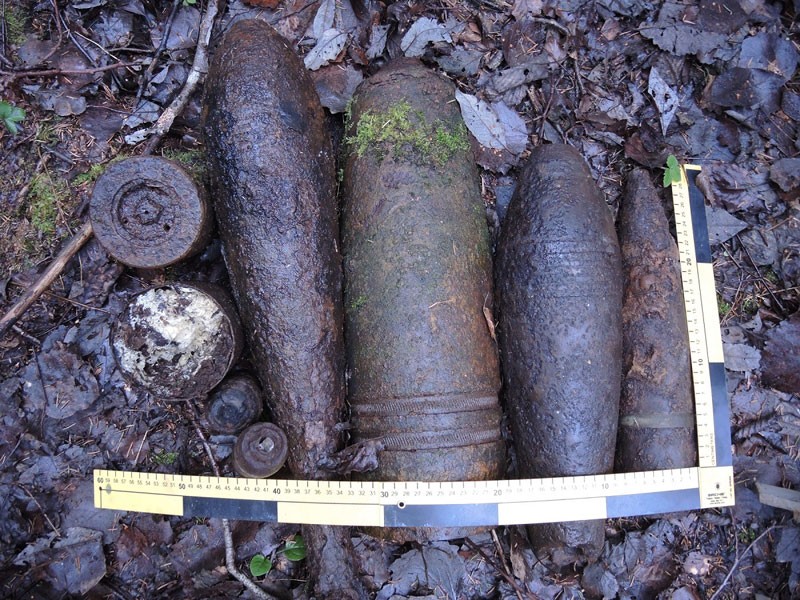 В Ида-Вирумаа обезвредили множество боеприпасов военного времени