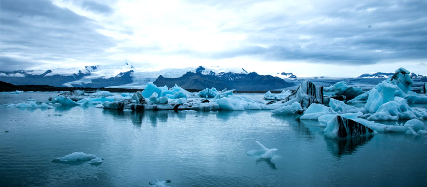 Январь 2020 года стал самым теплым в истории человечества