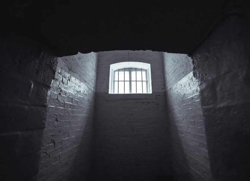 Расчленивший сдававшую ему квартиру женщину мужчина признал себя виновным