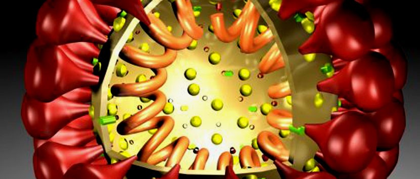 Это россияне и про Эстонию: «Смертельный коронавирус из Китая наступает на Петербург с Запада»