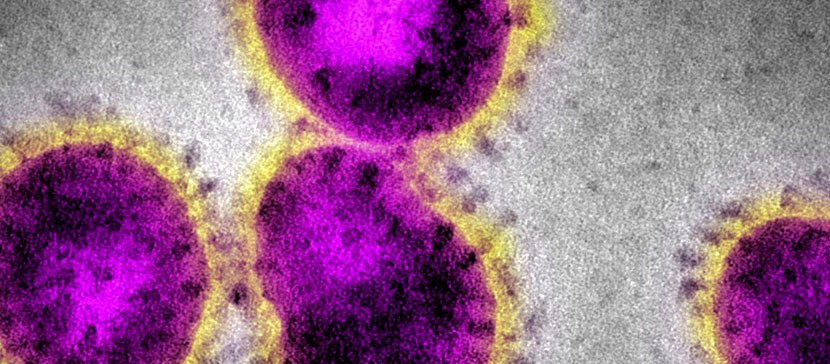 В близком контакте с зараженной коронавирусом гражданкой Латвии были 15 жителей Эстонии