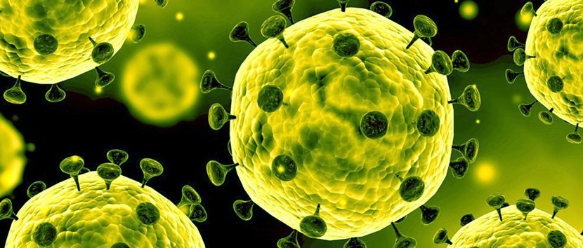 В Эстонии коронавирус диагностирован уже у 10 человек