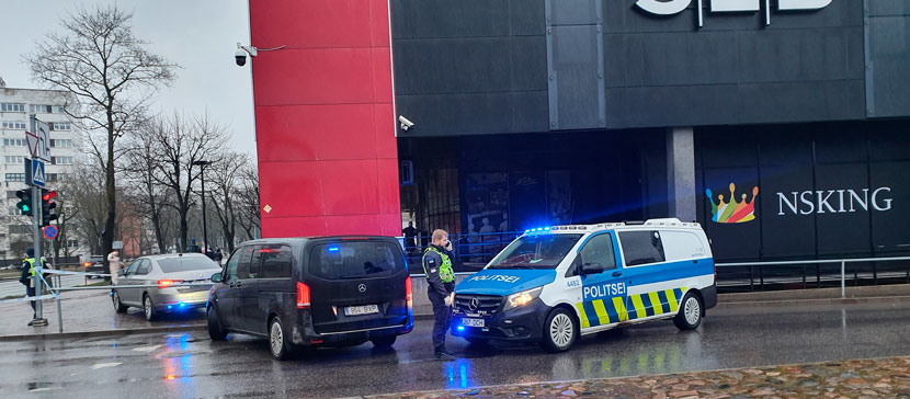 Погибшей в результате падения со смотровой вышки нарвского Astri было всего 12 лет