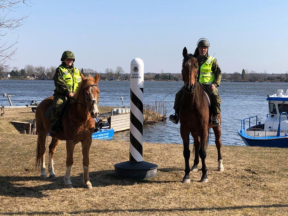 Идаская префектура временно ввела конное патрулирование