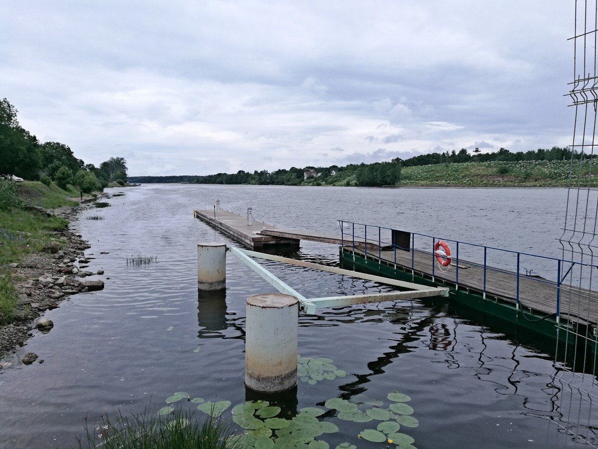 Четверо африканцев собирались переплыть Нарову, чтобы попасть Эстонию, но «моржи» были пойманы
