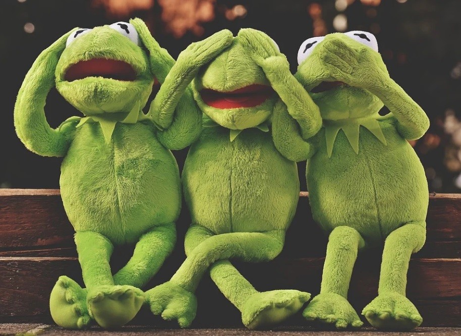 Не убий! Департамент призывает эстонских водителей не давить лягушек на дорогах