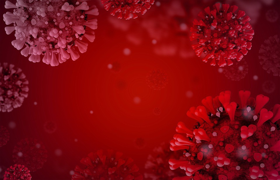 Российские врачи рассказали, что формирует стойкий иммунитет к коронавирусу, а что его разрушает, грозя человеку смертью