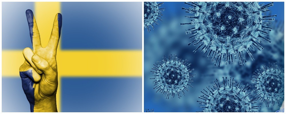 «Закрытие границ — это бесполезное занятие». «Запретить людям выходить на улицу? Это глупость». Советник правительства Швеции: есть только две меры по борьбе с вирусом