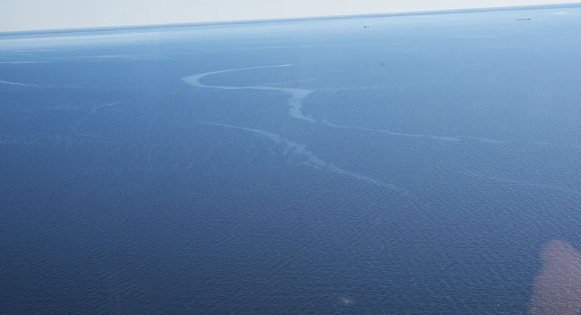 В Нарвском заливе в районе Тойла наблюдается загрязнение моря тяжелым топочным маслом. Его источник пока не обнаружен