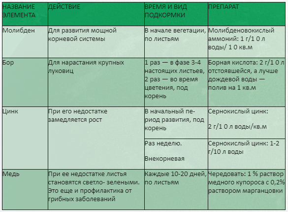ПОДКОРМКИ ДЛЯ ГЛАДИОЛУСОВ: СРОКИ, ПРЕПАРАТЫ, ДОЗИРОВКА