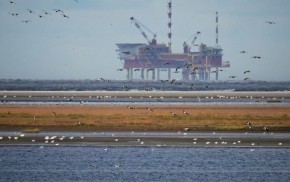 Нефть подорожала до 43 долларов за баррель после решения ОПЕК+ продолжить сокращение добычи