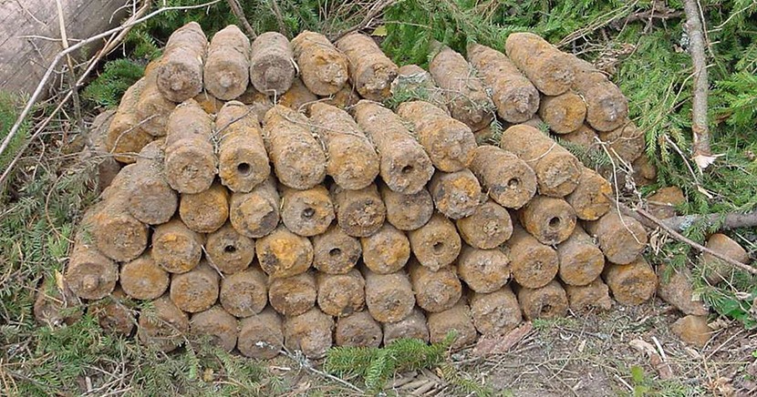 Саперы обезвредили обнаруженные в Нарва-Йыэсуу 34 взрывных устройства