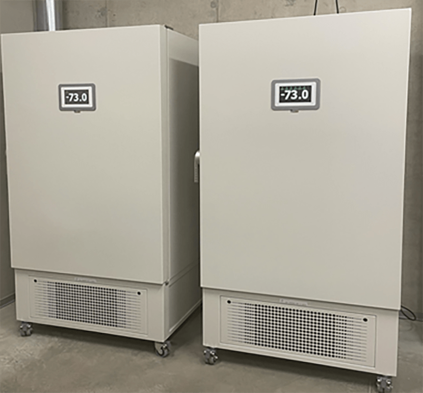 Вакцинация: идти или не идти – вот в чем вопрос