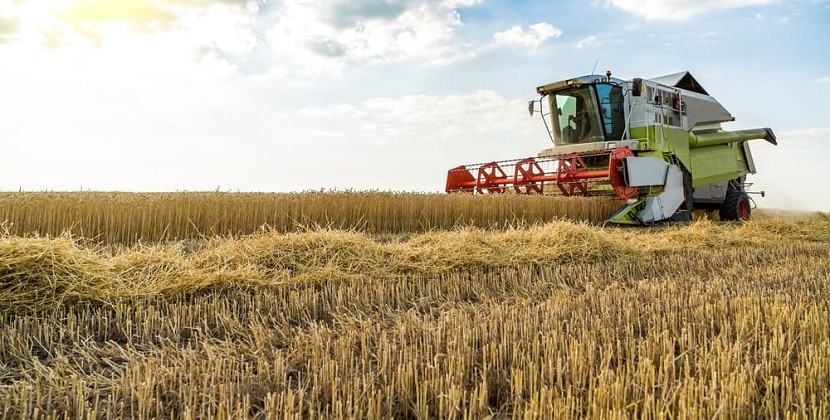 Аграрных хозяйств в Эстонии за 10 лет стало меньше, но производство существенно не сократилось