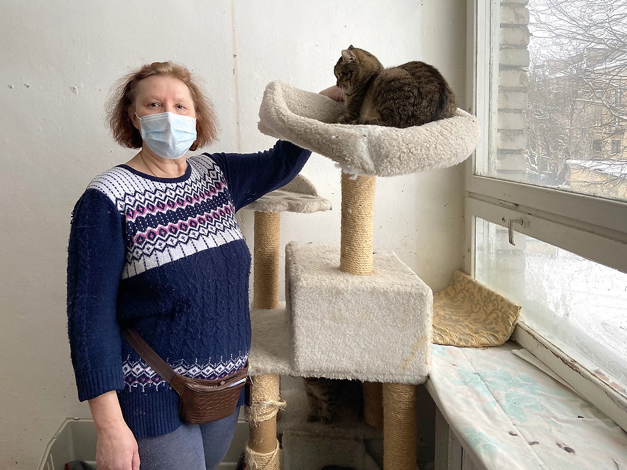 Народные деньги закончатся через месяц, кормить кошек будет нечем