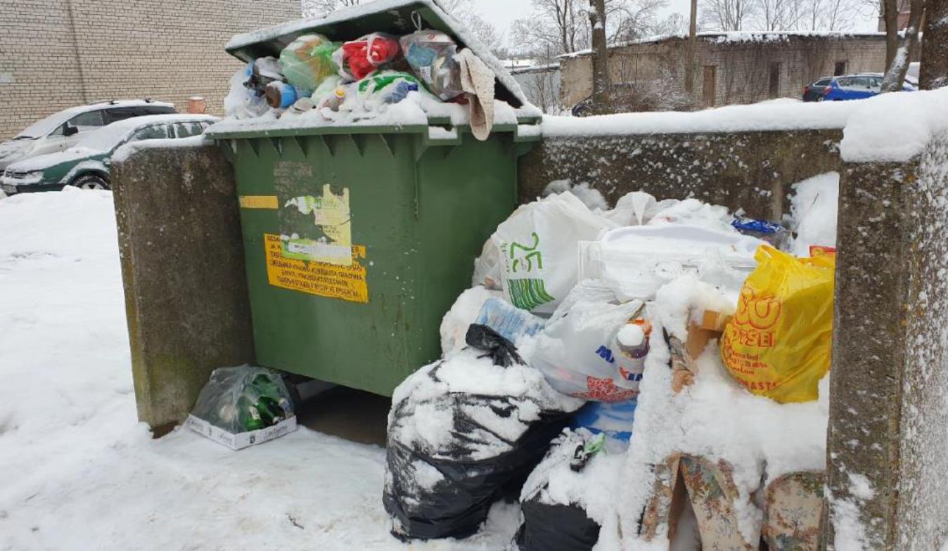 Чтобы не платить за вывоз упаковки, надо учиться сортировать мусор