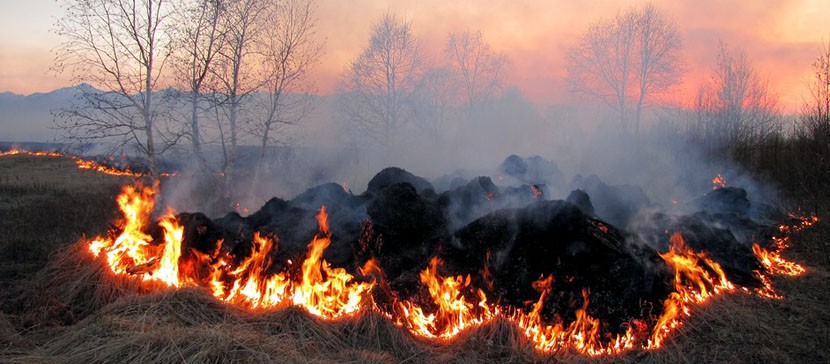 В апреле спасатели тушили 156 пожаров на открытой местности