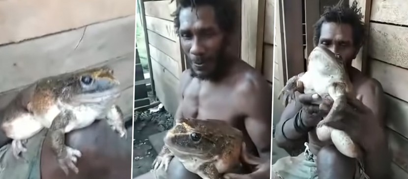 Житель деревни нашел лягушку размером с младенца