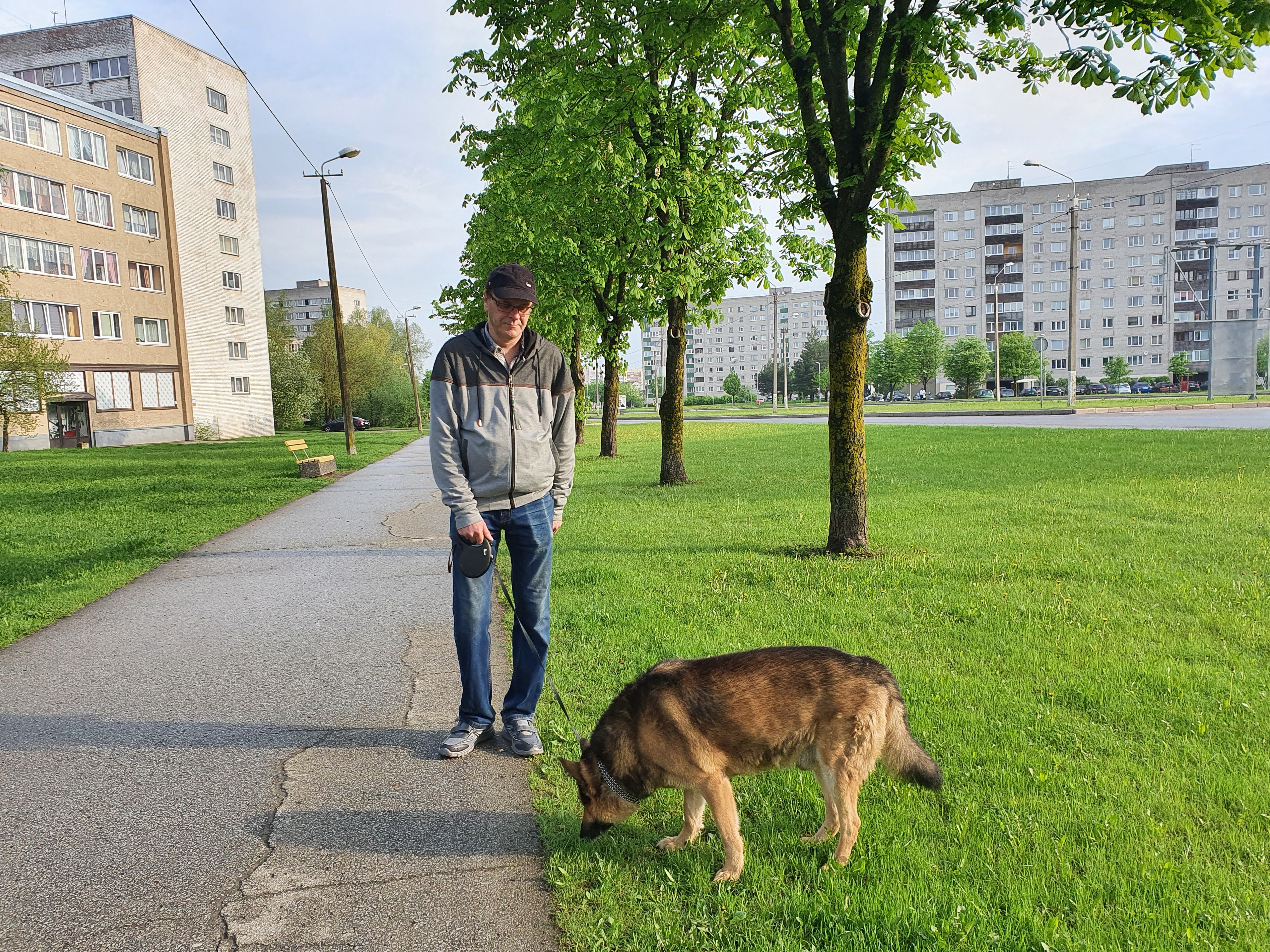 Нарвитяне предлагают построить собачьи площадки по всему городу