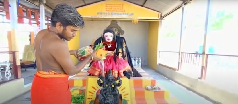 В Индии начали поклоняться богине коронавируса