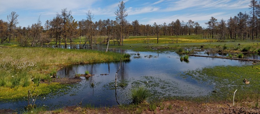 RMK и Министерство окружающей среды приглашают на экскурсии