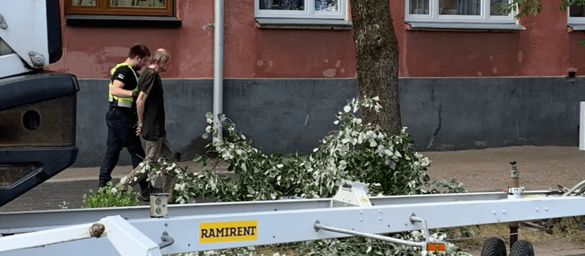 В Нарве недовольный спиливанием веток пьяный горожанин угрожал рабочим