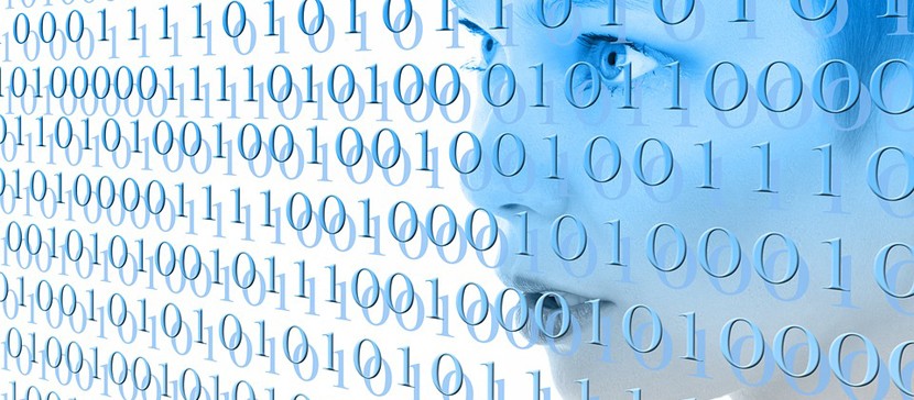 На госпортале были доступны данные более 300 000 человек