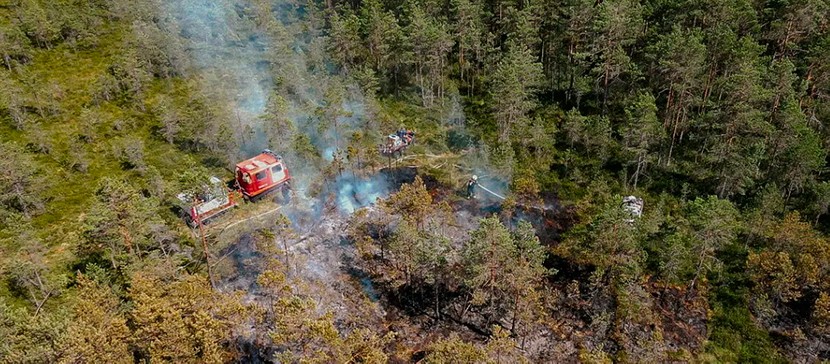 Пожароопасный период: в Эстонии смягчаются ограничения