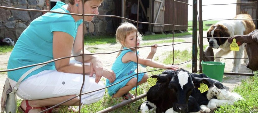 Хозяева эстонских хуторов приглашают жителей страны к себе в гости