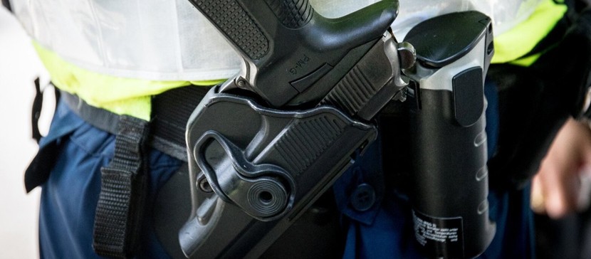 Полицейский в Эстонии подстрелил мужчину, напавший на него с палкой