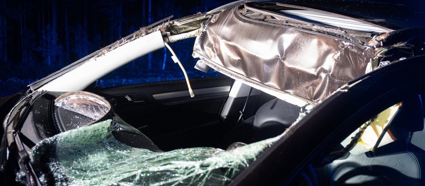 На шоссе Таллинн-Нарва лось выбежал перед автомобилем. Семья в больнице