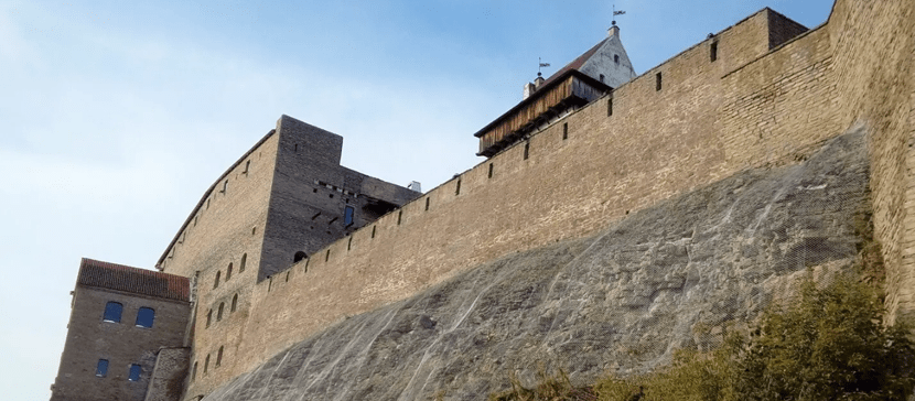 В Нарве открылась посвященная независимости Эстонии передвижная выставка