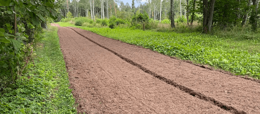 Латвия и Эстония обсуждают укрепление границы