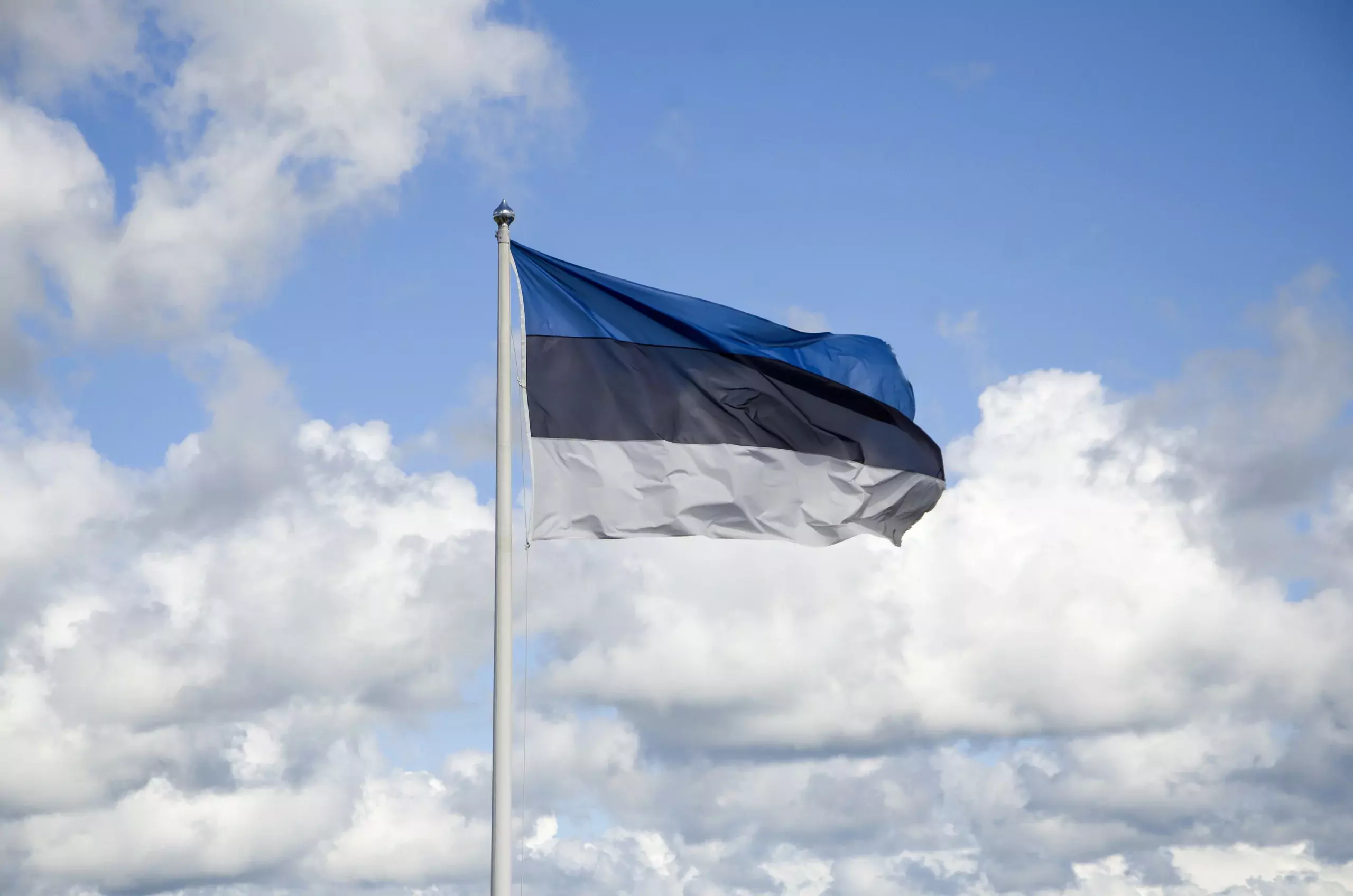 PPA revokes the residence permit of a woman who threatened Estonia’s security