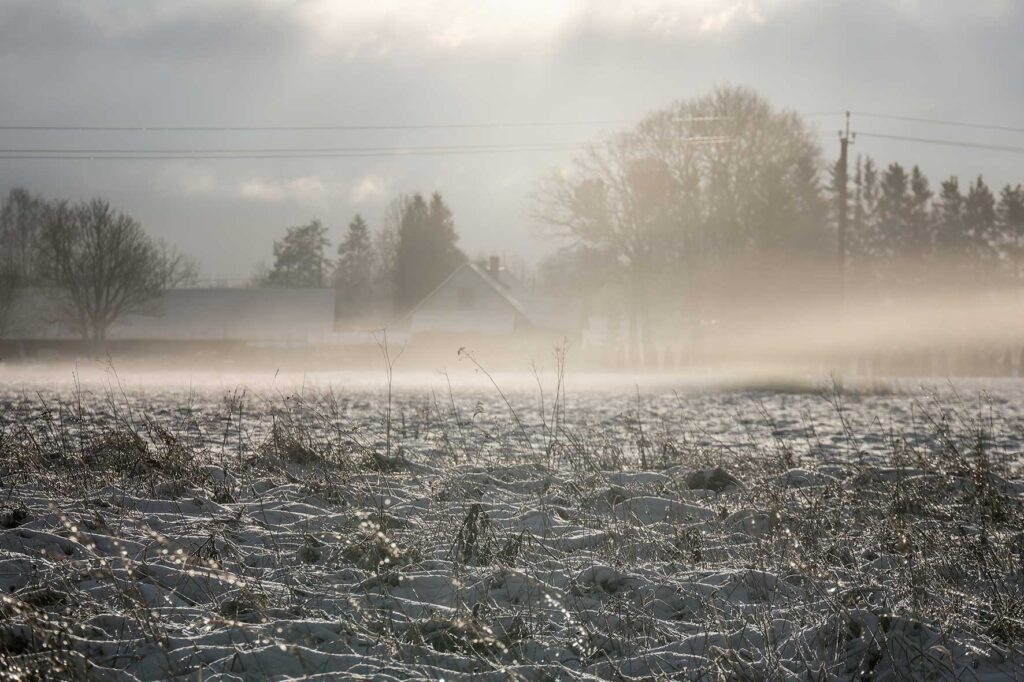 In the coming days, snow, fog and icy rain are expected in Estonia