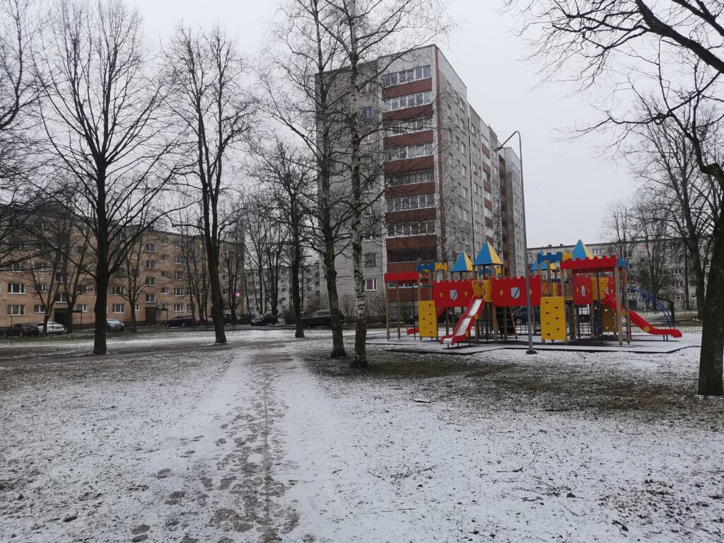 With the advent of spring from under the snow in Narva, not only the primroses appear