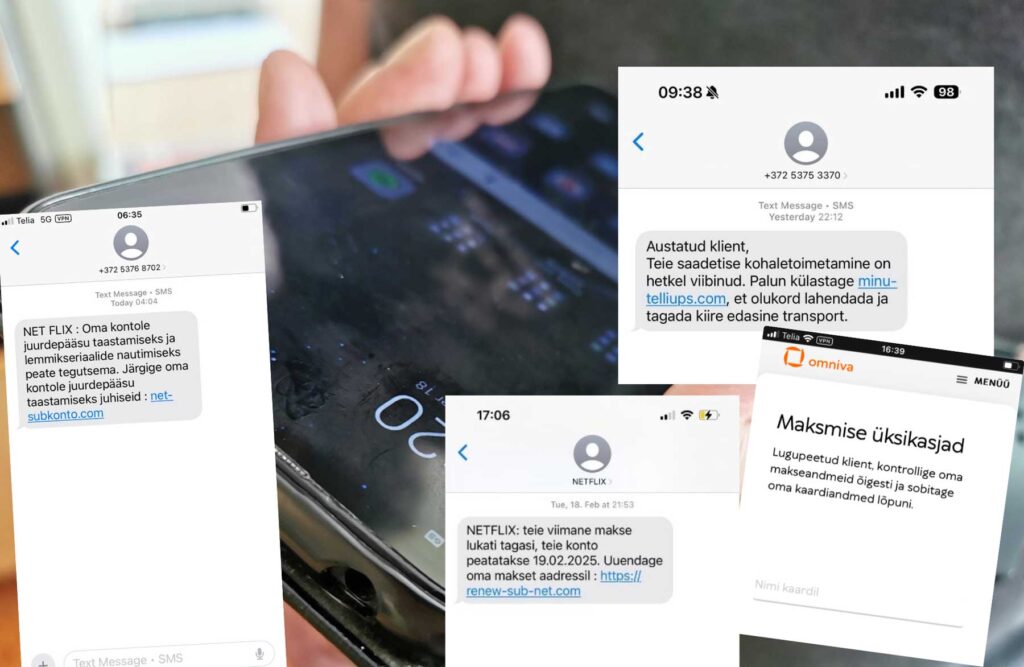 A French citizen suspected of sending phishing messages was detained in Estonia