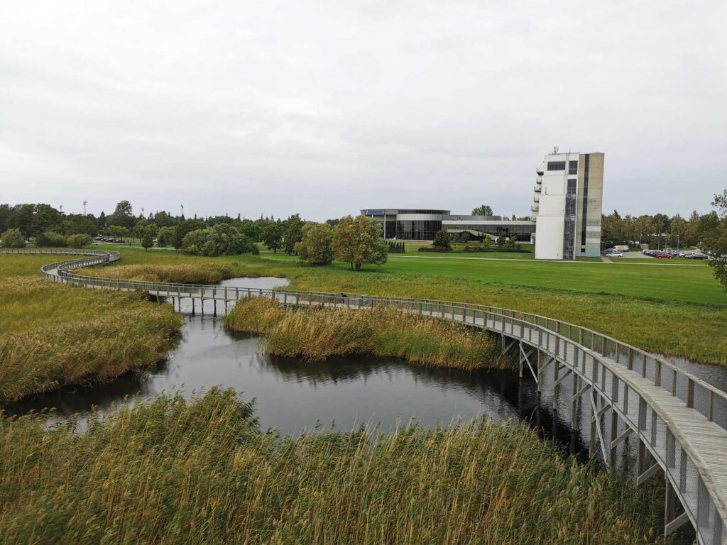 In several Estonian rivers of Povarno district, a large number of dead fish were noticed