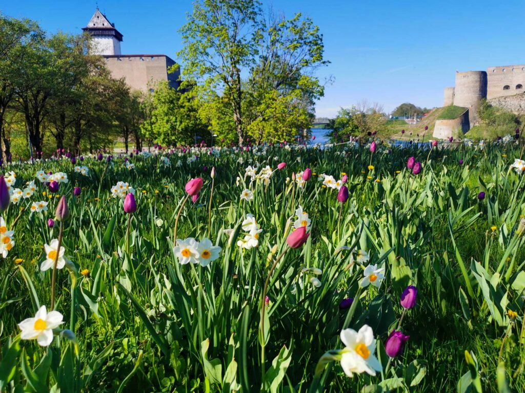 It will warm up to +20, but not for long: rains and coolness return to Estonia