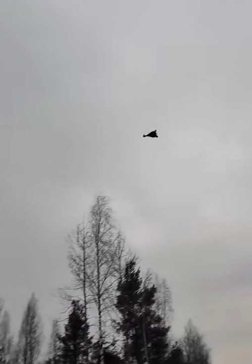 В Финляндии в воскресенье упали два украинских беспилотника