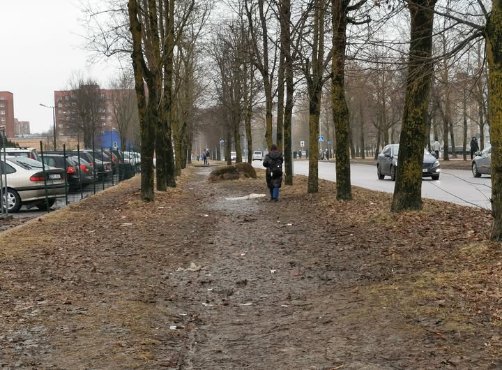 В Нарве начинается крупный дорожный ремонт: движение на Солдина и Вахтра будет затруднено